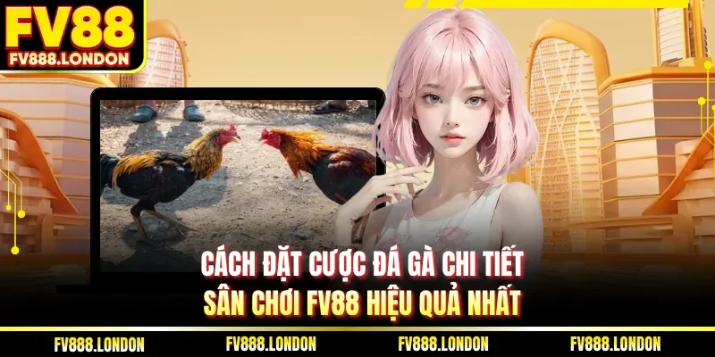 Cách đặt cược đá gà chi tiết