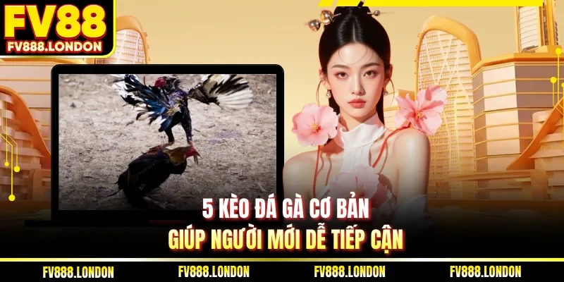 5 kèo đá gà cơ bản giúp người mới dễ tiếp cận