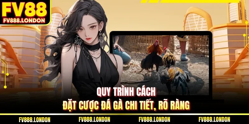 Quy trình cách đặt cược đá gà chi tiết, rõ ràng