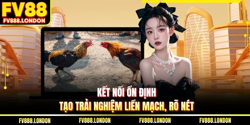 Kết nối ổn định tạo trải nghiệm liền mạch, rõ nét