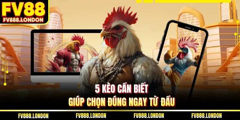 5 kèo cần biết giúp chọn đúng ngay từ đầu