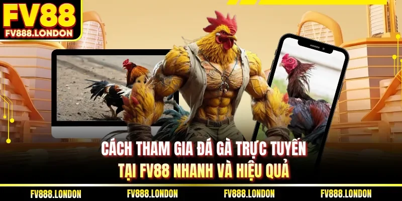 Cách tham gia đá gà trực tuyến