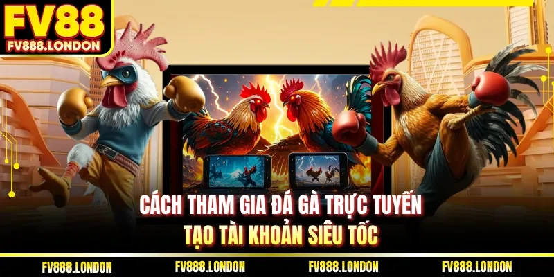 Cách tham gia đá gà trực tuyến, tạo tài khoản siêu tốc
