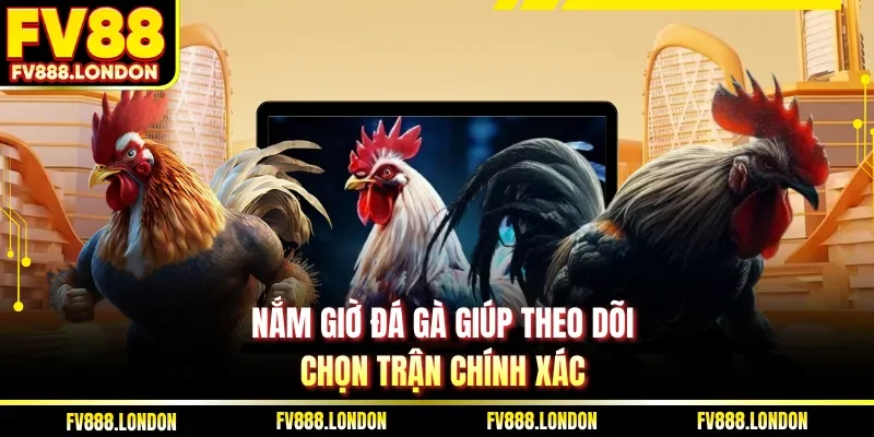 Nắm giờ đá gà giúp theo dõi, chọn trận chính xác