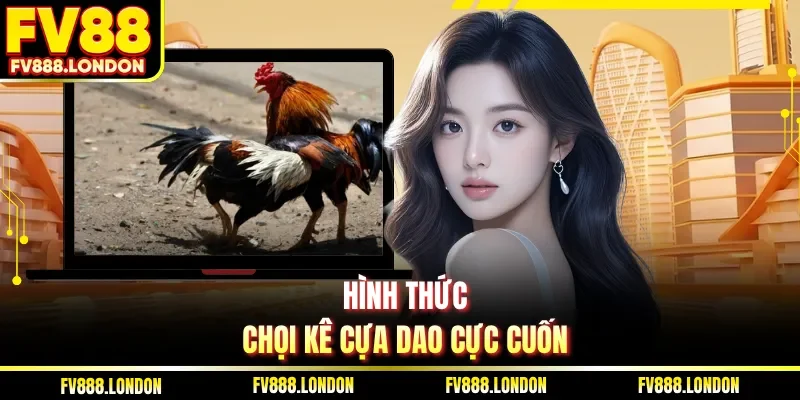 Hình thức chọi kê cựa dao cực cuốn