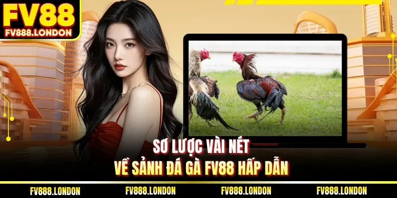 Sơ lược vài nét về sảnh đá gà FV88 hấp dẫn