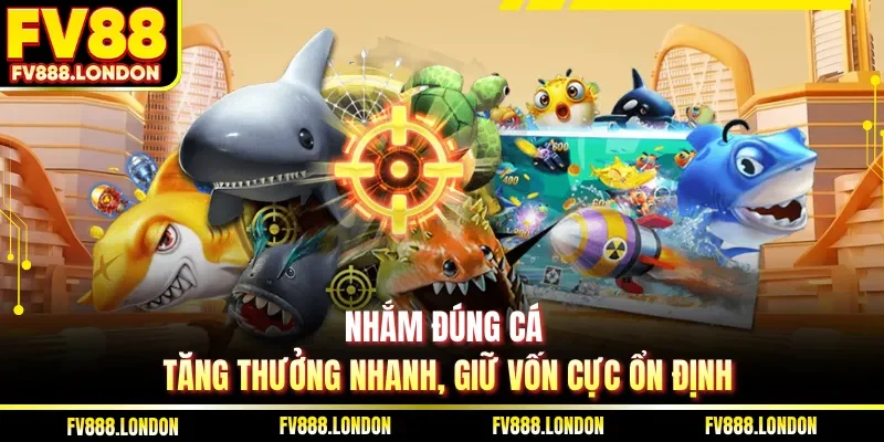 Nhắm đúng cá tăng thưởng nhanh, giữ vốn cực ổn định