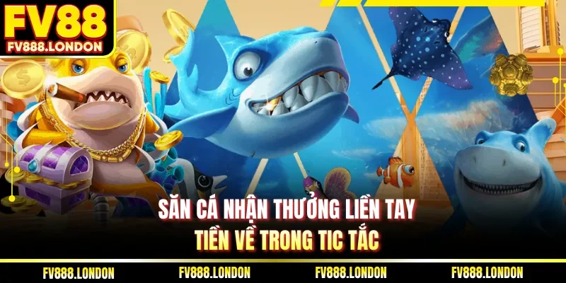 Săn cá nhận thưởng liền tay, tiền về trong tic tắc